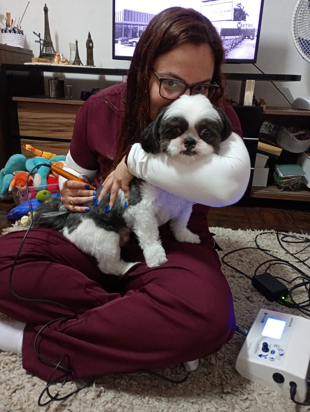 Medicina veterinária integrativa na prática